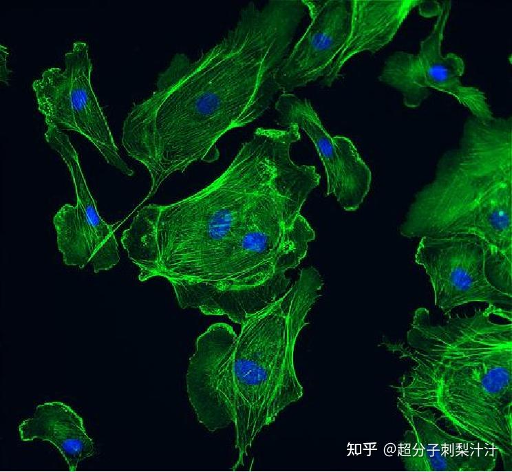 越来越火的超分子体系是什么?一起来了解它 知乎