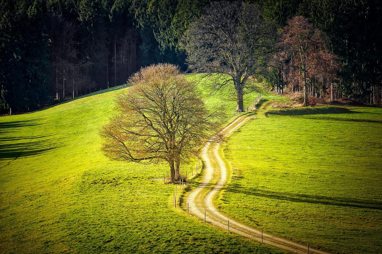 2. 署东巷周边详述