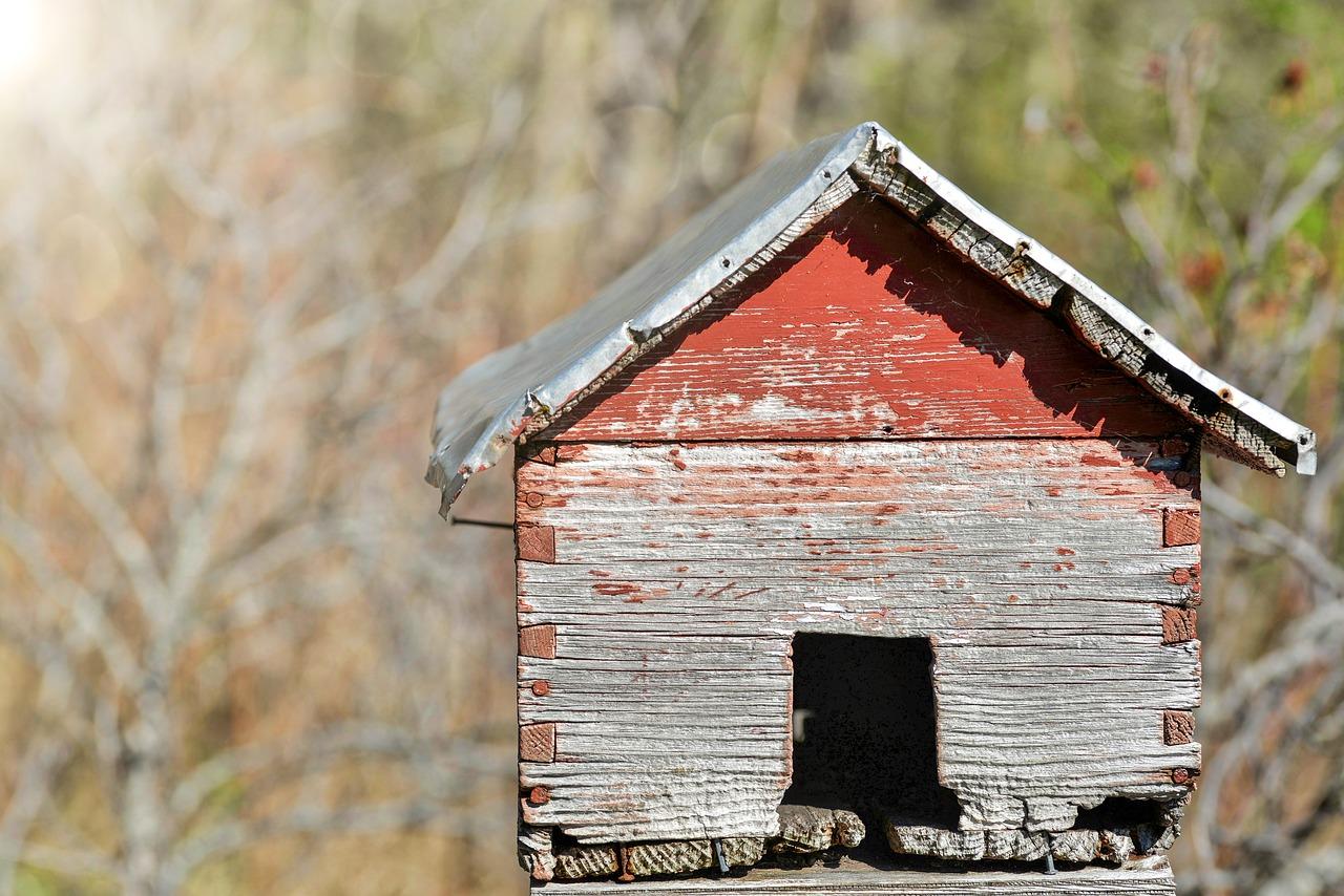 新房装修如何放乌龟