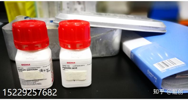 探索糖尿病损害血脂异常的你需要科学的棕榈酸和油酸钠溶解方法