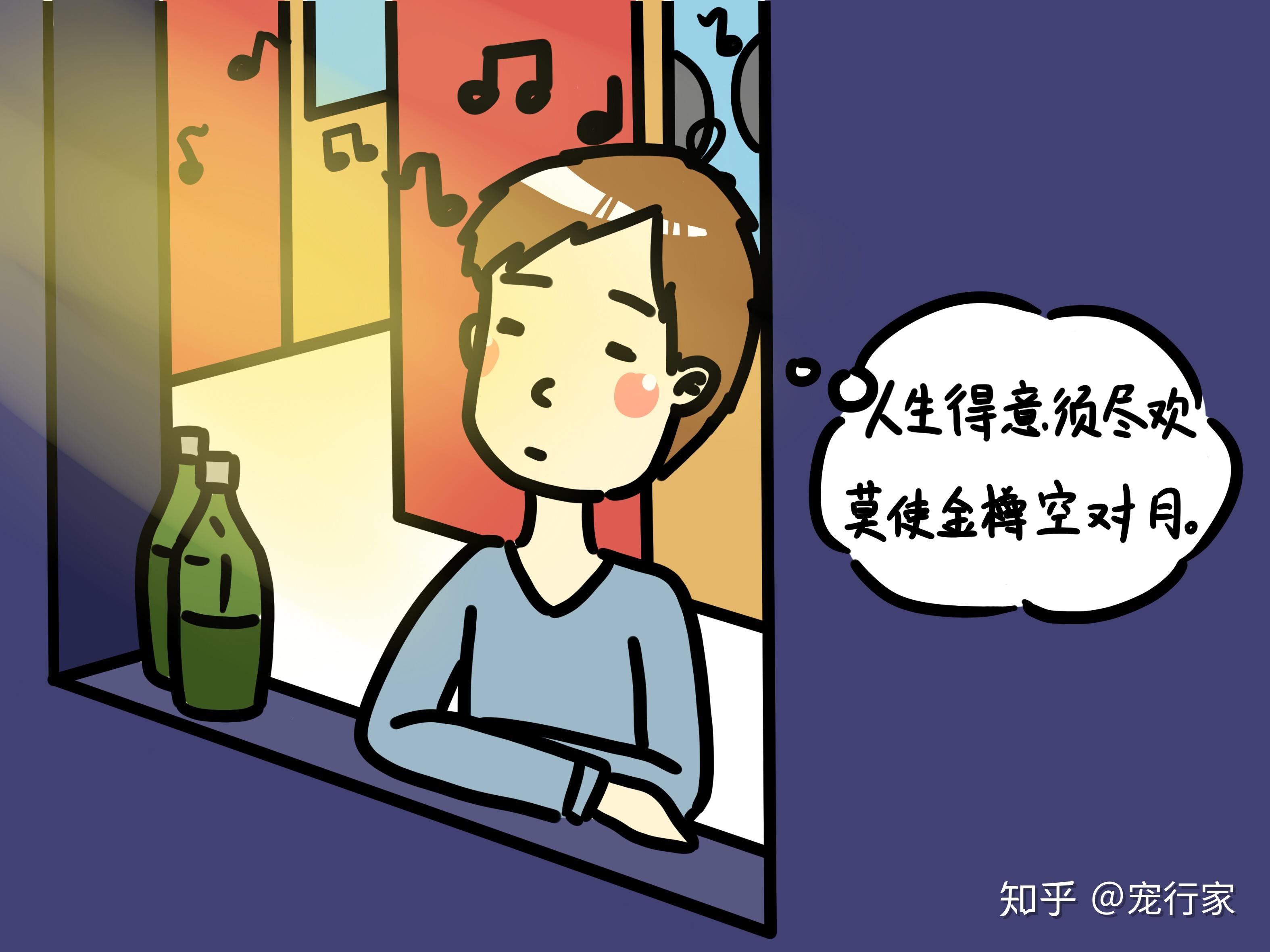 捉迷藏为啥又叫躲猫猫养猫后我终于明白了这个道理猫是真爱躲