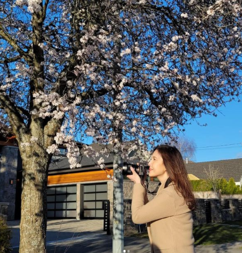 卡司堪称饱满坚强,只是经典很难被取代,想当年李婉华在1994年版电视