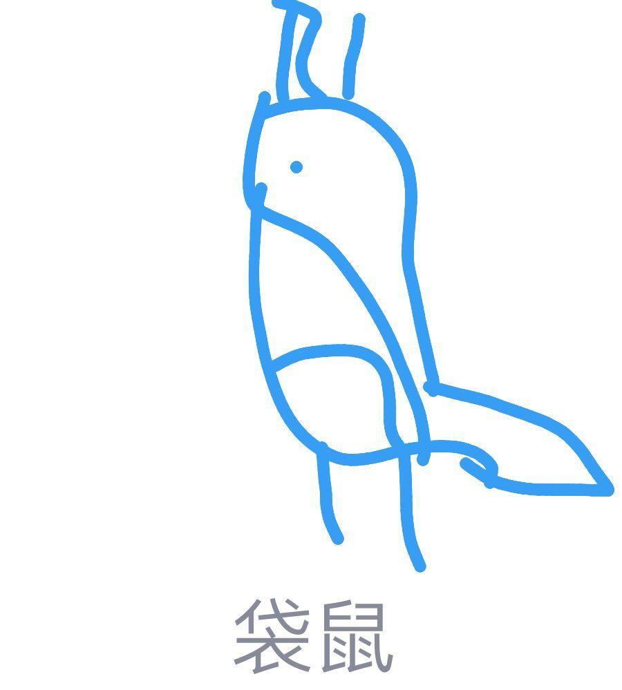 如何评价qq画图红包