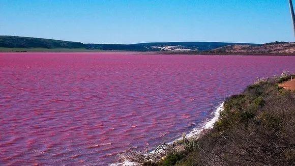 深粉色时期的希利尔湖希利尔湖特色漂浮项目希利尔湖湖水取样参考文献