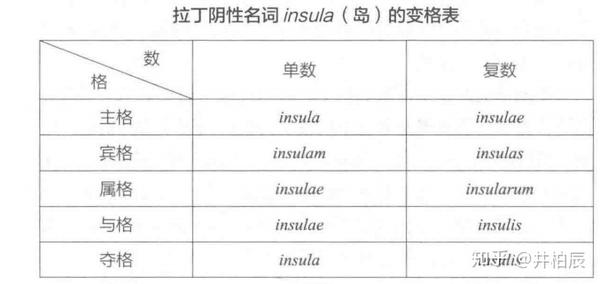 1.3英语词根形态含义的由来 - 知乎
