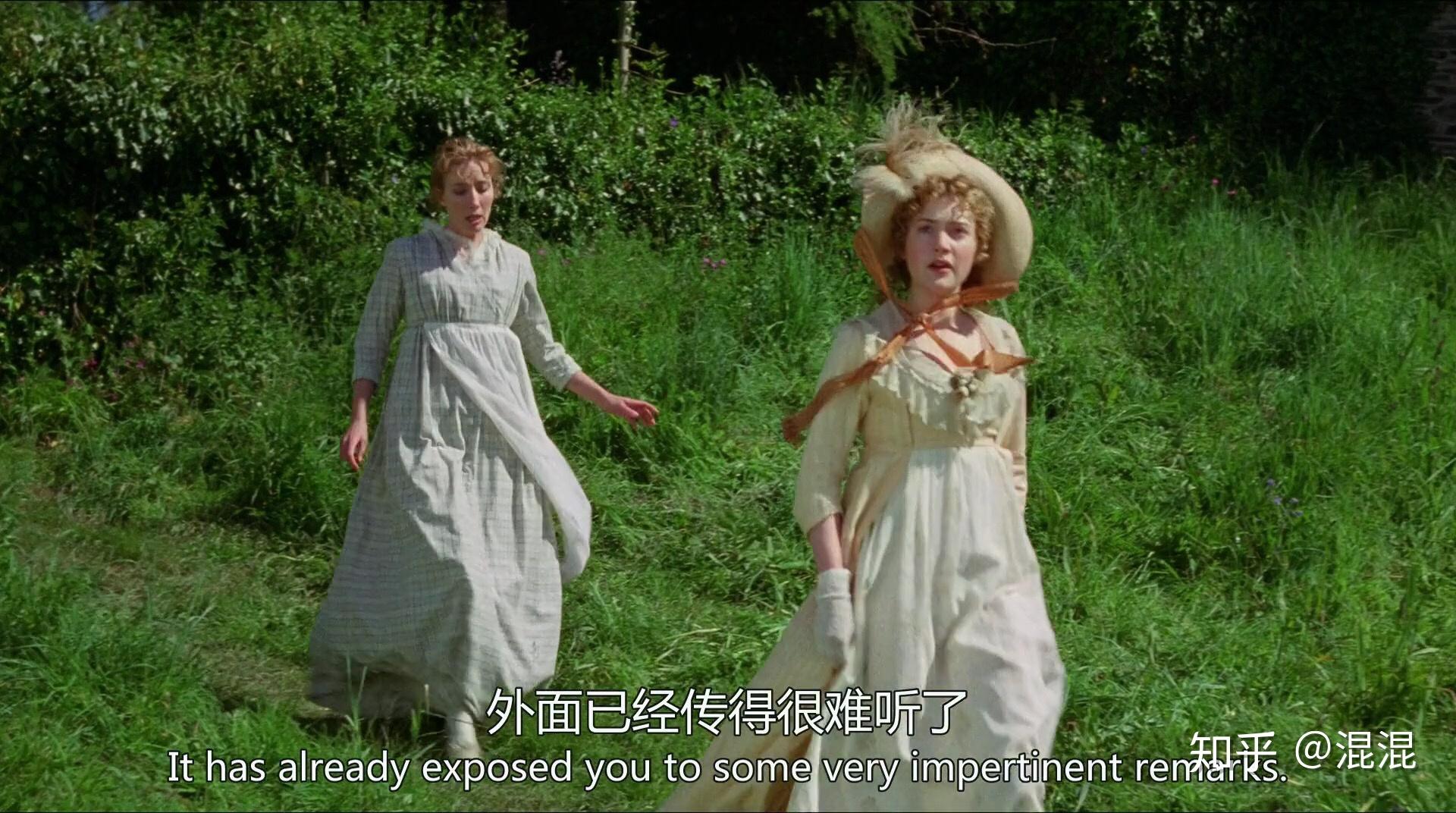 如何评价电影理智与情感