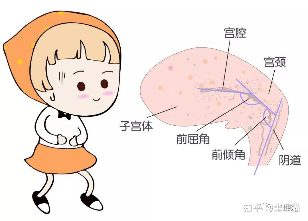 什么样的啪啪啪体位最易受孕? - 知乎