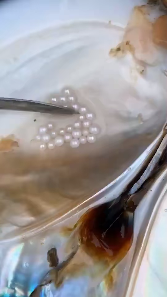 一粒沙砾变成珍珠要多长时间?