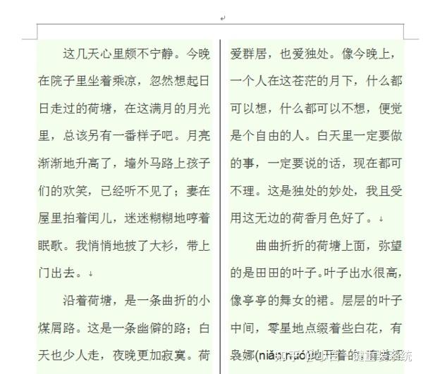 wps一分为二中间为竖虚线怎么弄？ - 知乎