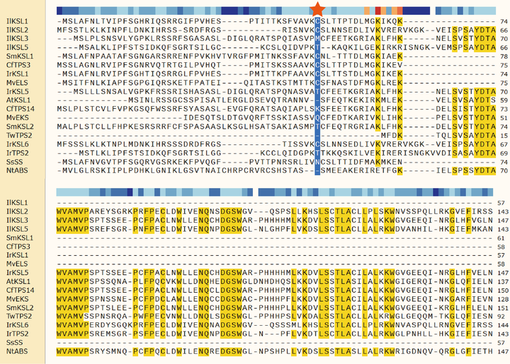 Snapgene align sequences 
