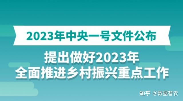 技術觀點全面推進鄉村振興加快建設農業強國2023年中央一號文件解讀