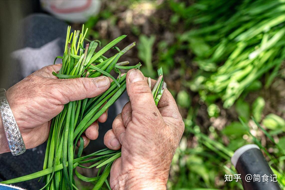 开春后，药补不如食疗，这5种“高赞”食物建议常吃，活出年轻态- 知乎