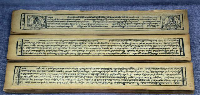 (五)《晶珠本草》,帝玛·丹增彭措(1673～1743?)著.