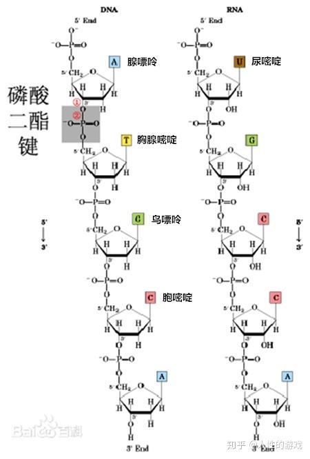 知乎专栏