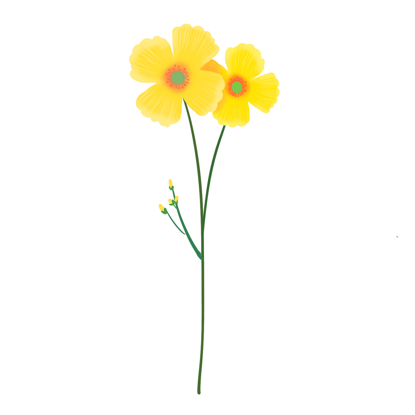 一片花瓣 碎语 知乎