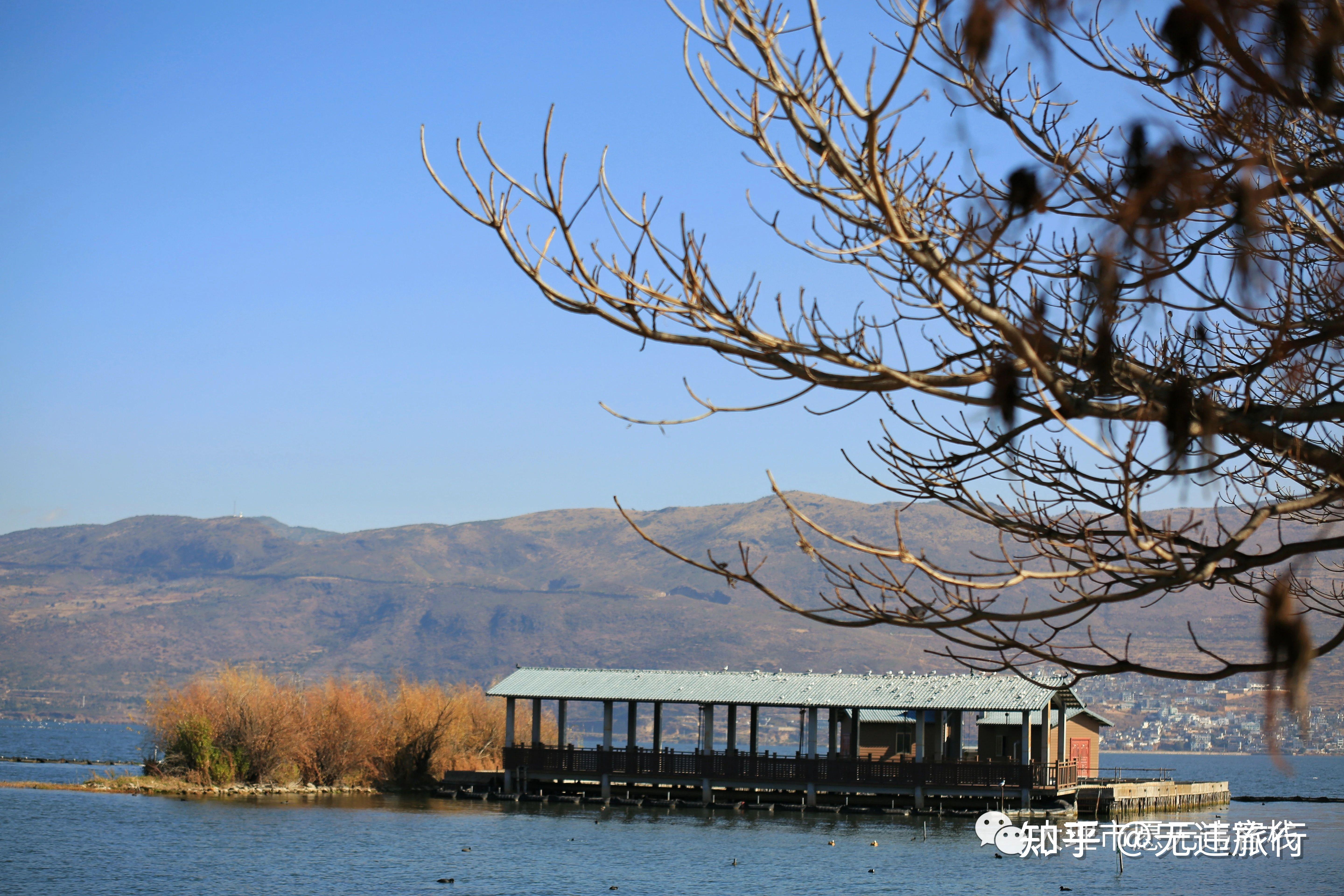 大理洱海才村码头旅游精美旅拍分享