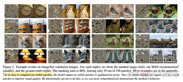 【论文阅读】Masked Autoencoders Are Scalable Vision Learners - 知乎