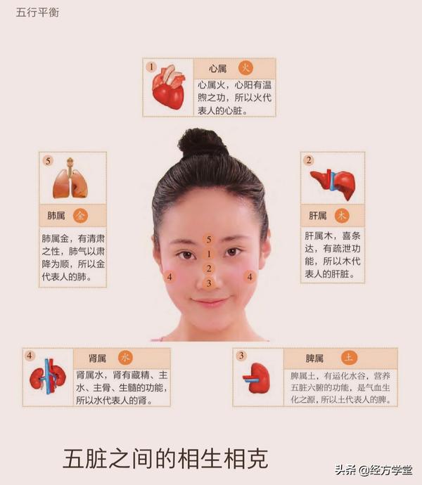 中医面诊之基础知识，五色-五味-五脏-五行 - 知乎