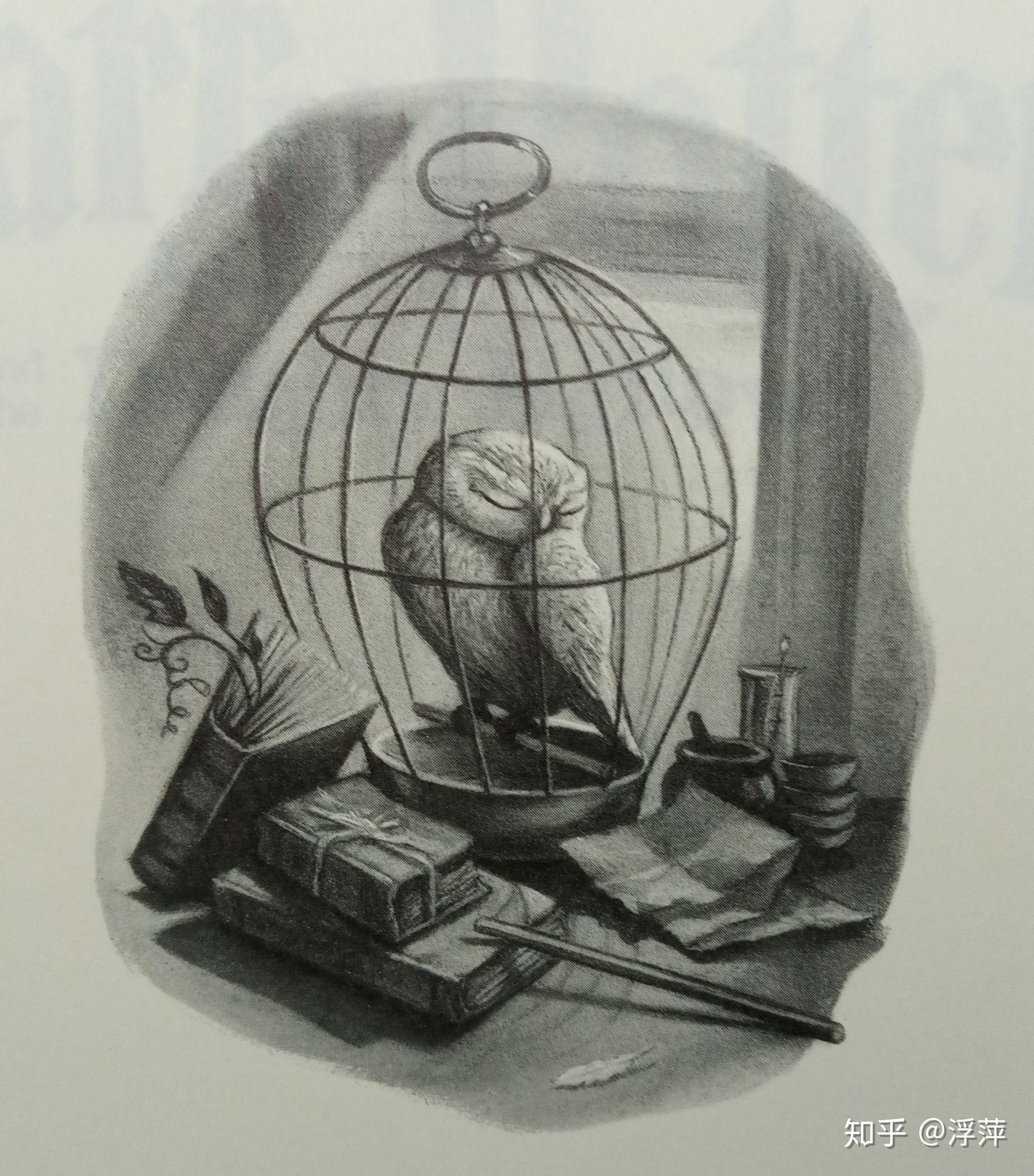 哈利·波特与死亡圣器