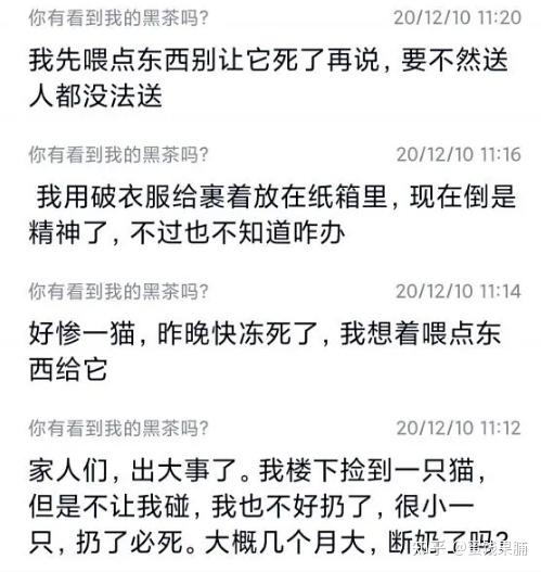 主播墨茶official因病去世他生前的生活境遇如何如果及時治療能否得到