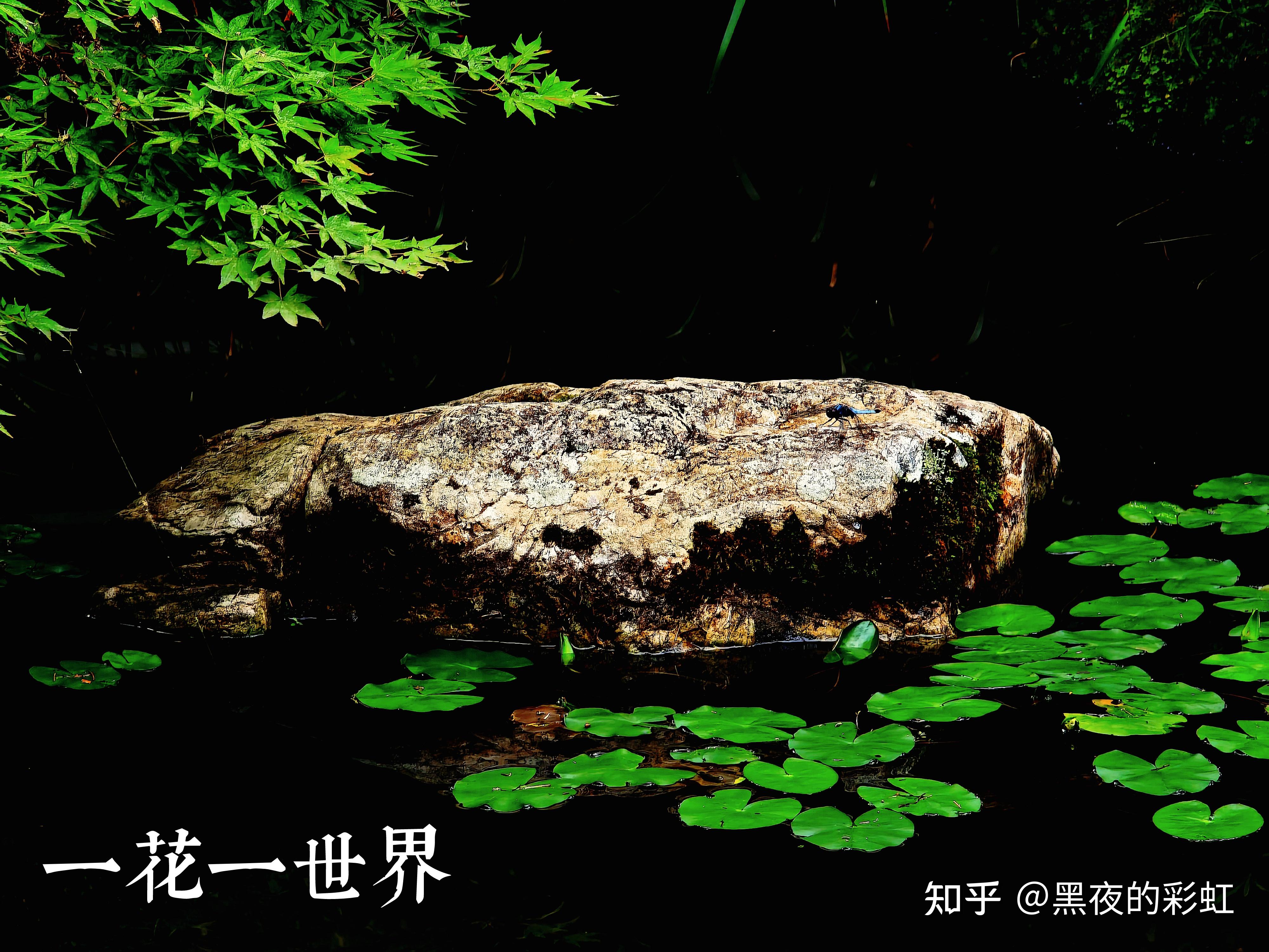 中庸之道,执其两端,用其中于民 - 知乎
