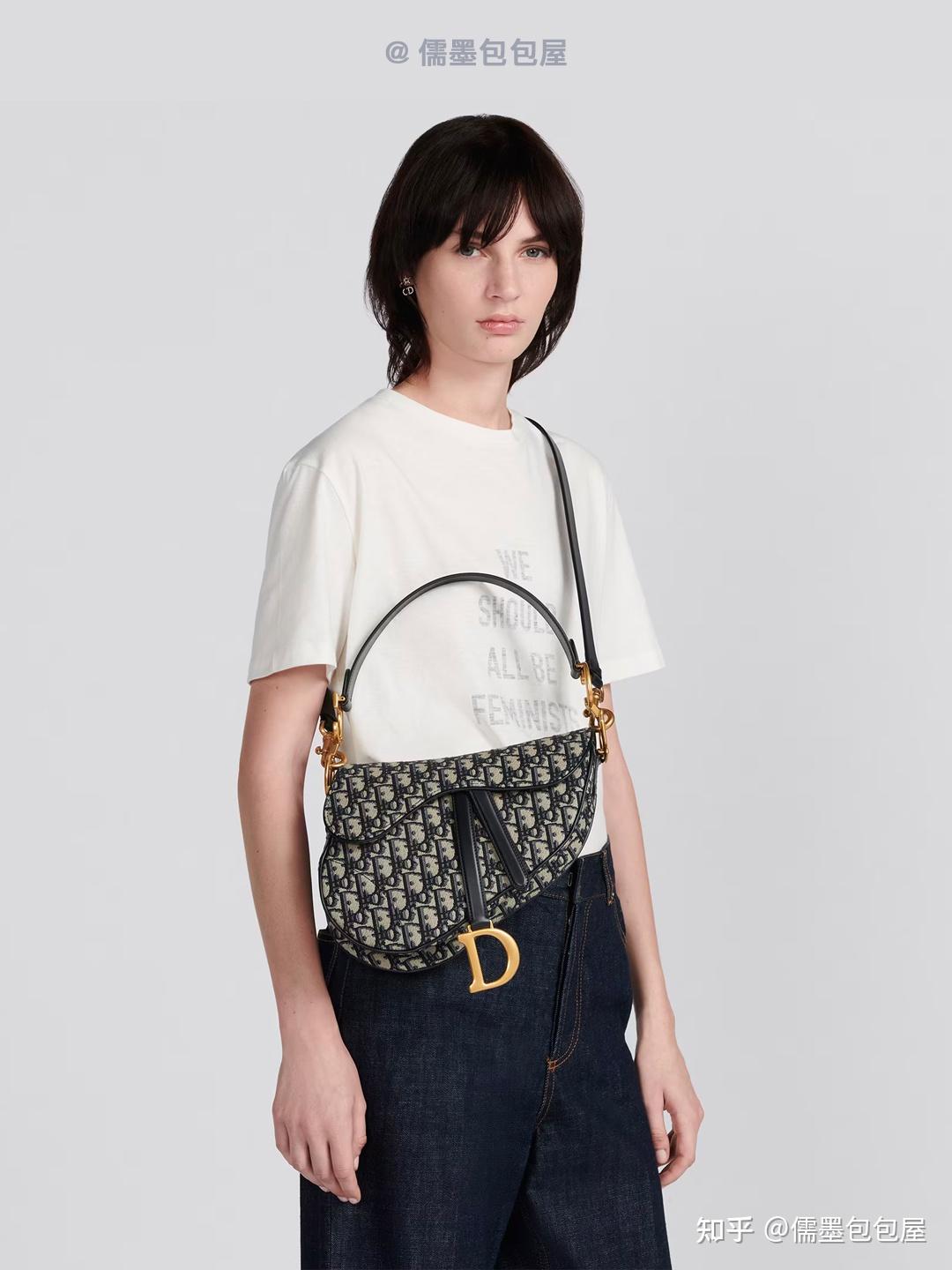 每天认识一只包：DIOR SADDLE 老花马鞍包 - 知乎