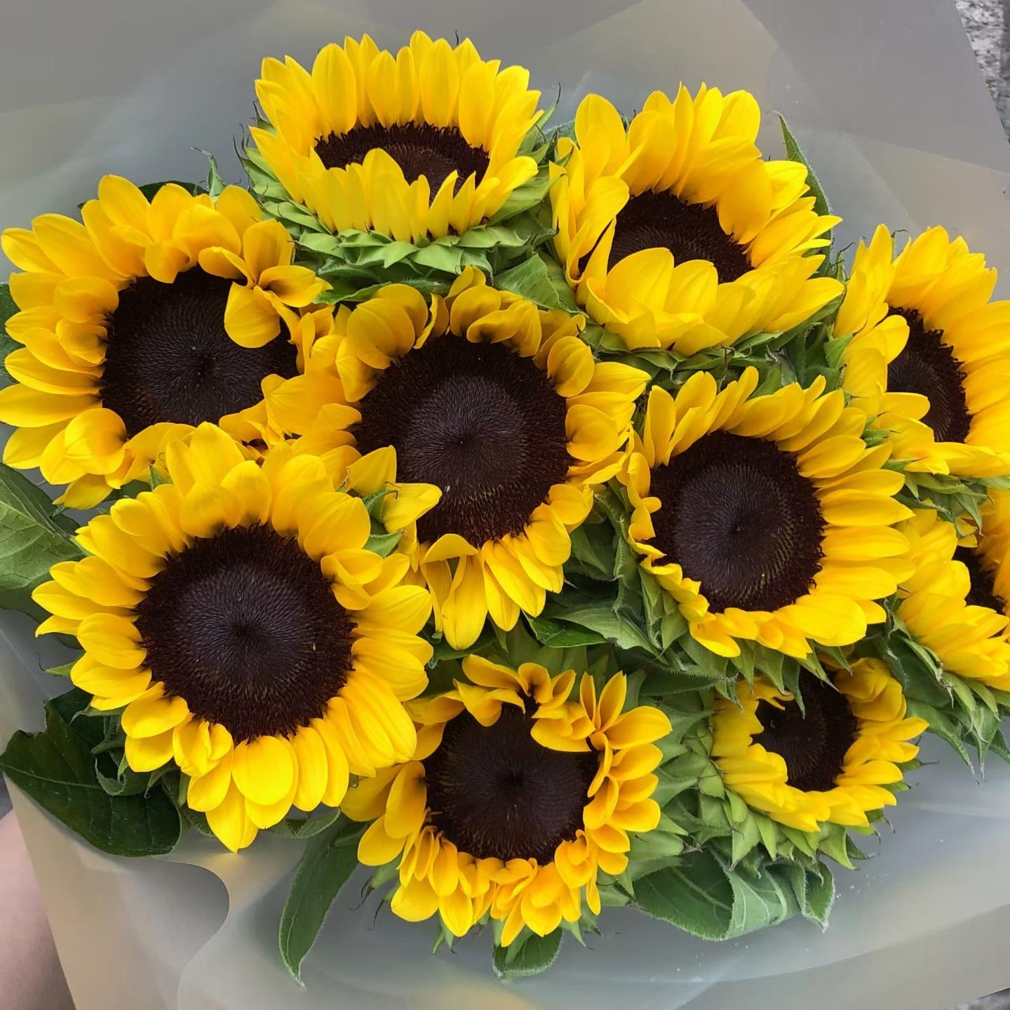 锋铓