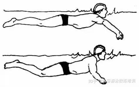 蛙泳技能,游泳者必学! - 知乎