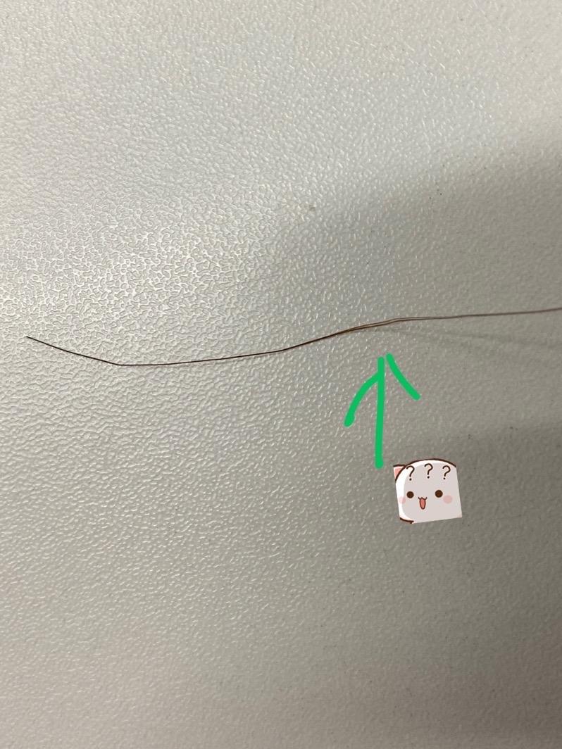 一根头发可以分叉成什么样