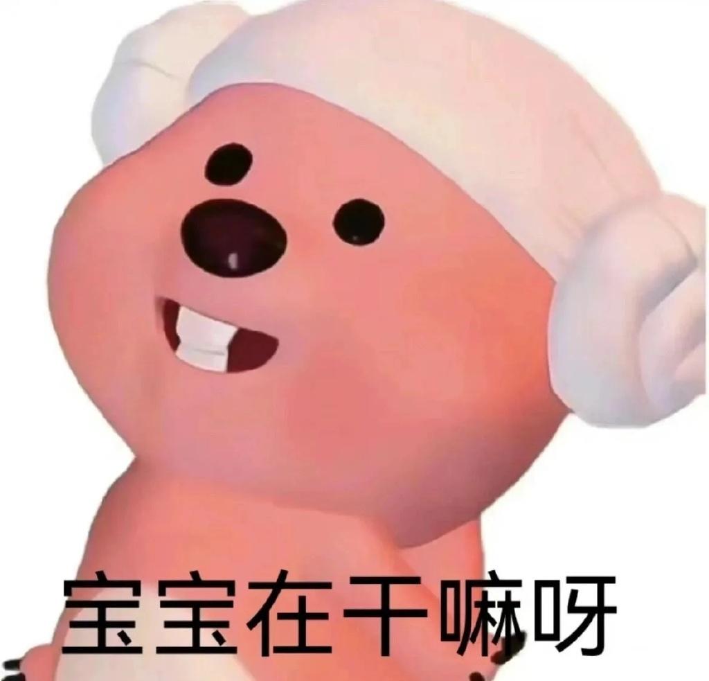 这个粉色的熊叫什么啊还有没有其他类型的表情包