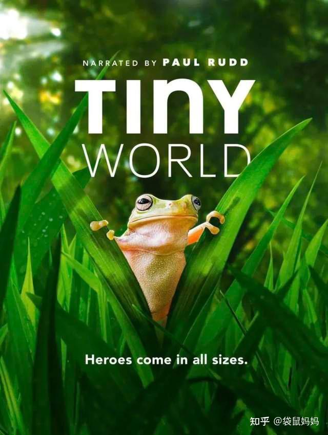 6分《小小世界》3人与植物的关系不是剥削与索取,是与天地共存,与万物