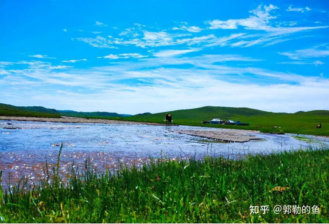 錫林河的魚四季上