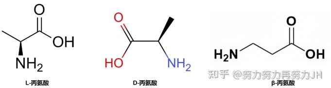 丙氨酸的代谢过程 - 知乎
