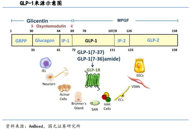 how many glp 1 capsules per day GLP-1 pills to shake up food and beverage landscape