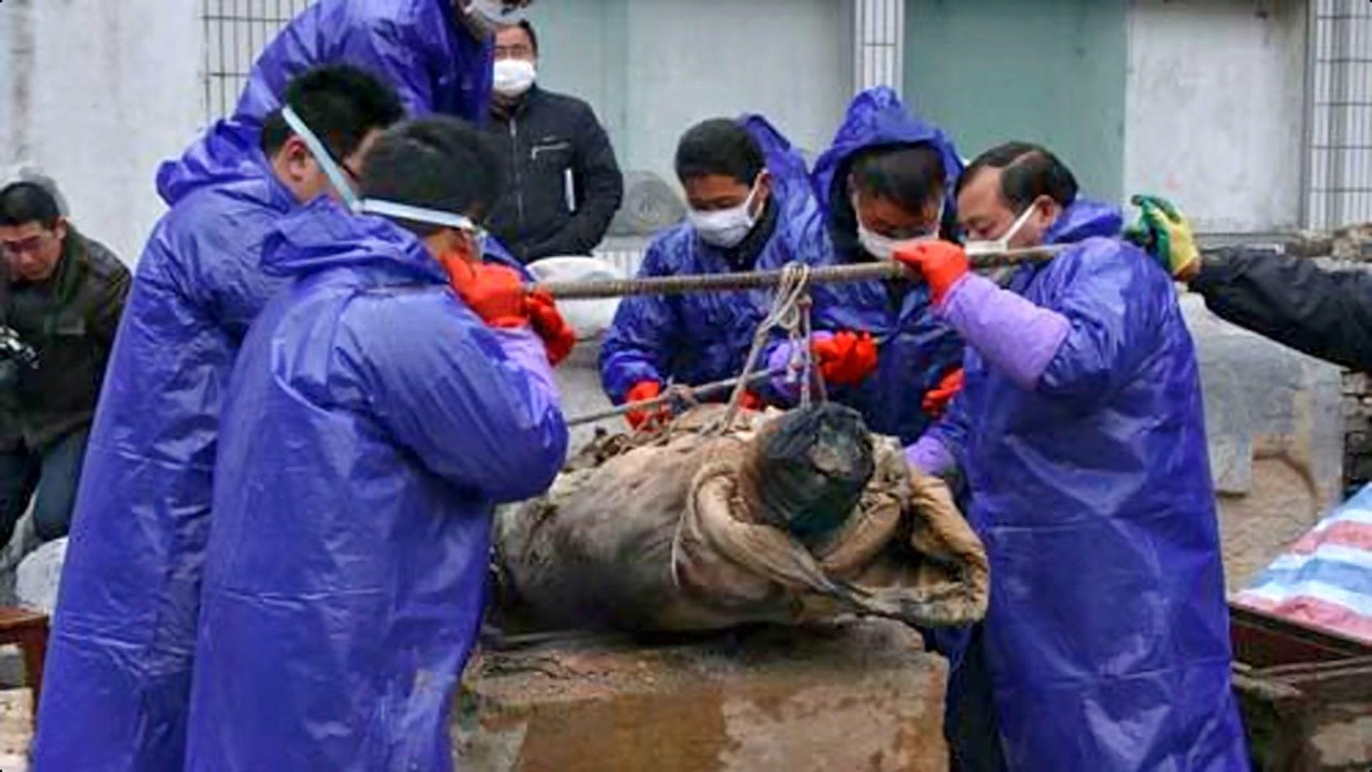 中国出土的六大湿尸个个引人称奇马王堆汉墓女尸只排第三