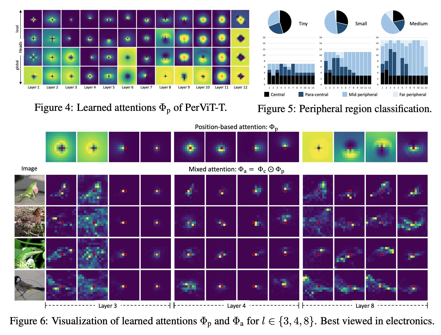 2,[cv] peripheral vision transformer