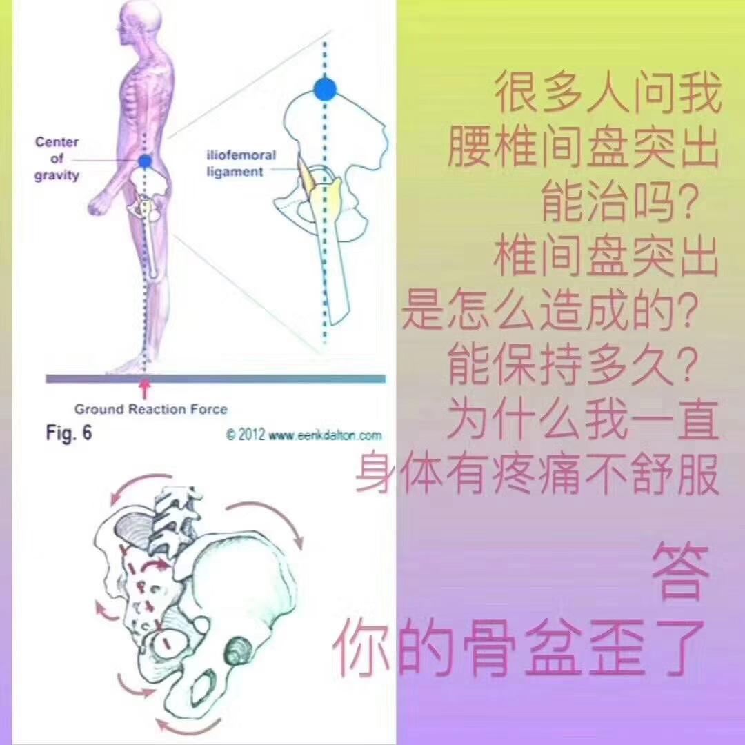 图71 骨盆的韧带-人体解剖组织学-医学