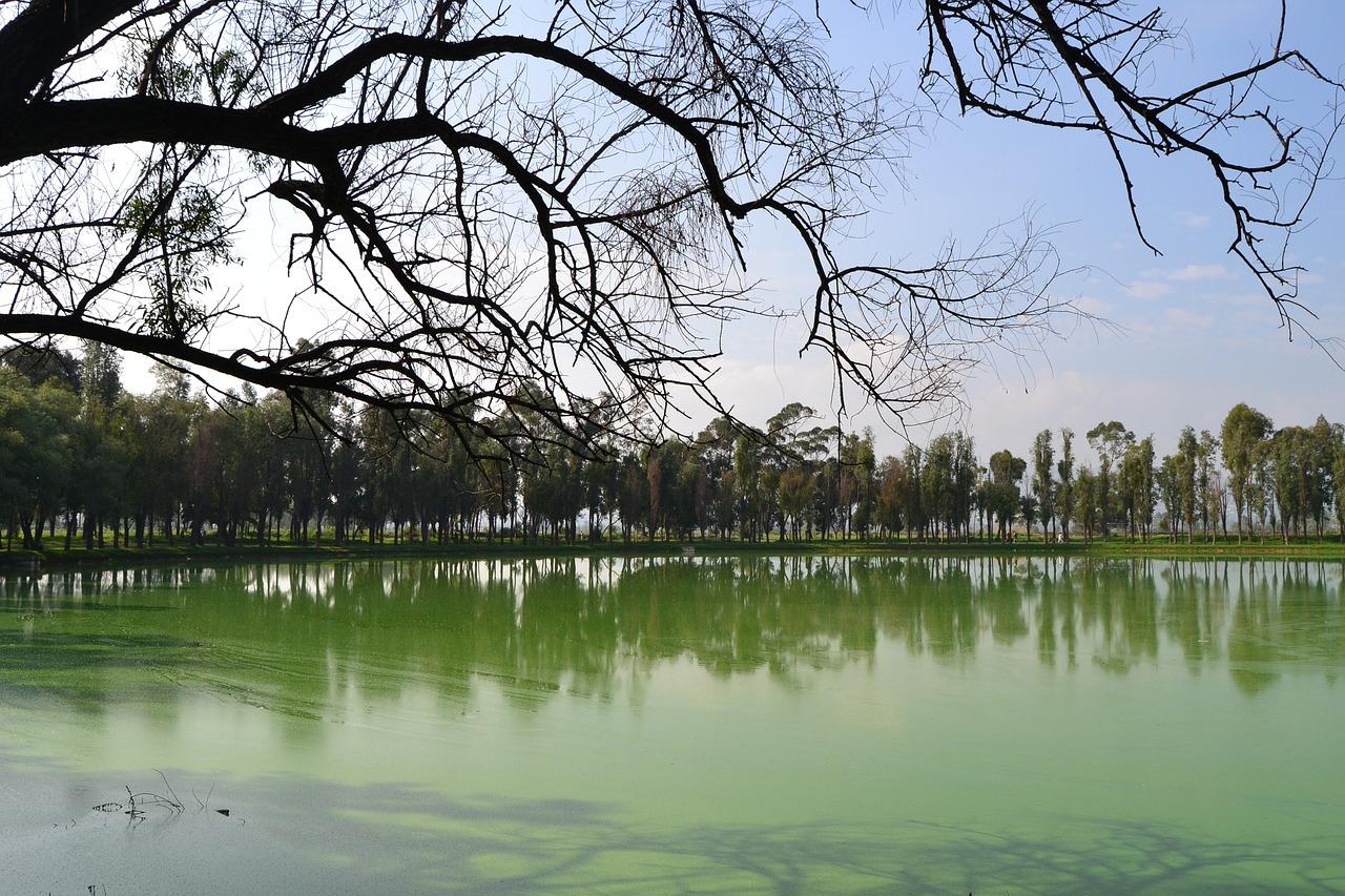 4. 科目三观湖时间