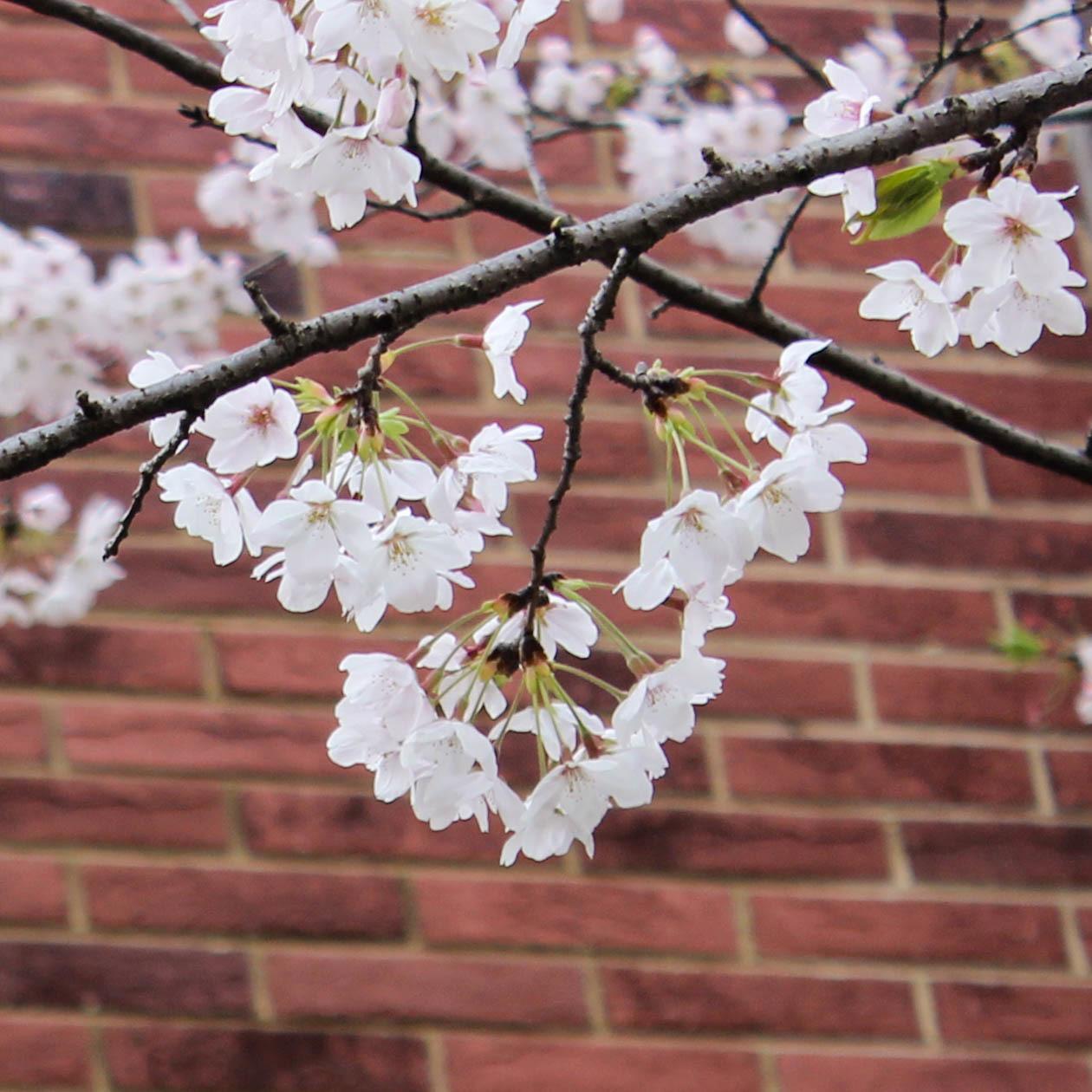 你用过最好的修图软件有哪些?