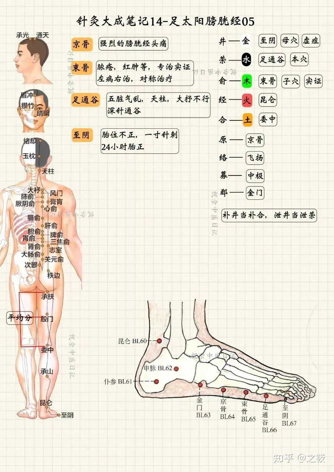 《针灸大成笔记》——倪海厦老师视频整理（建议收藏） - 知乎