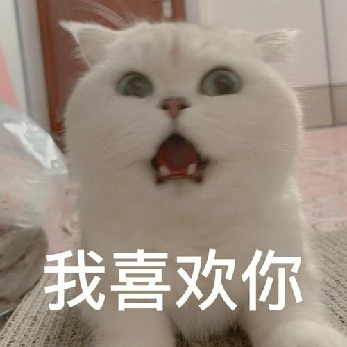 高考前夕向心仪男生表达鼓励合适吗？