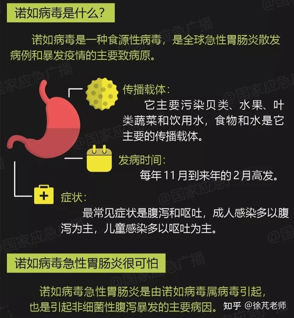 园被曝孩子集体呕吐,教育局称「非食物中毒,初步判断为诺如病毒感染」