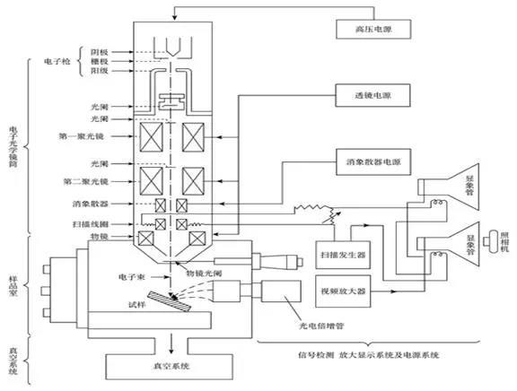 扫描电镜的知识点汇总 都是精华 知乎