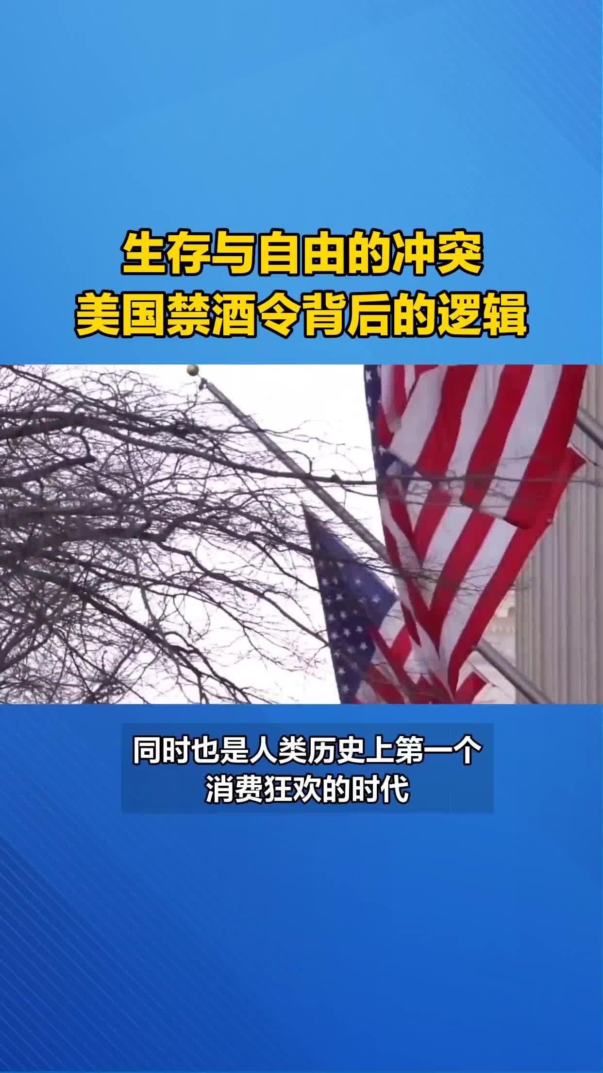 禁酒令给美国社会的法律,政治,经济等方面带来了哪些影响?