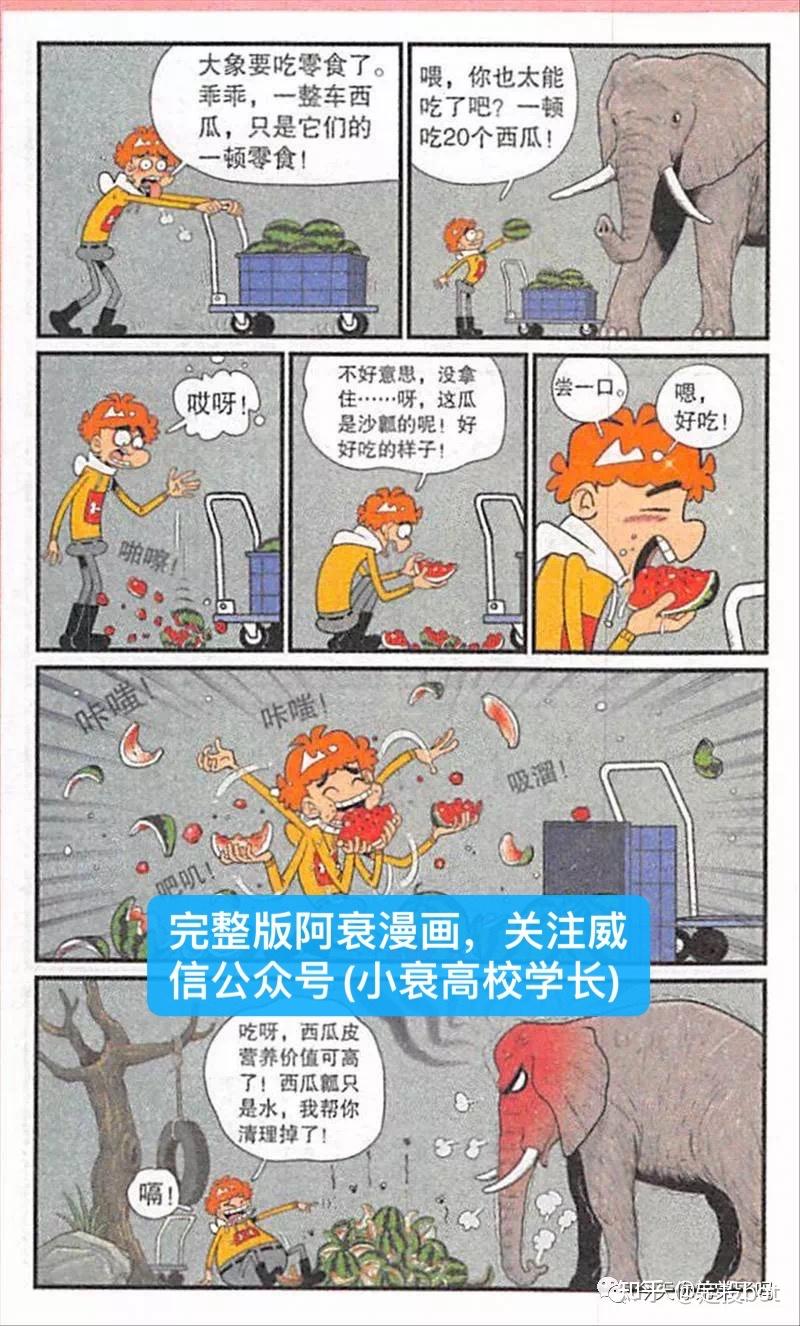 v2-dd3259b684c389a38dbc0e4a185c1810_r.jpg