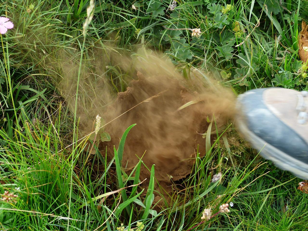 4. 油污清洗妙招