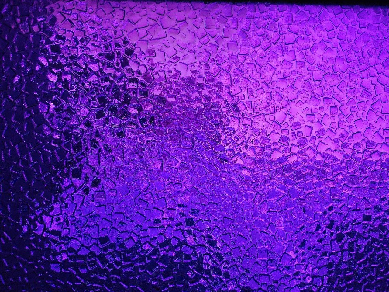 景观园林特色一览