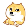 飞翔的鱼