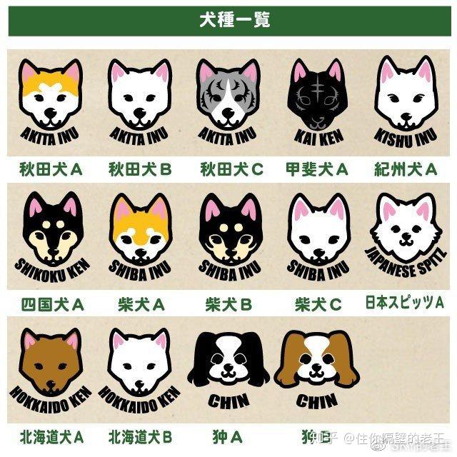 狗狗种类一览(日本篇)