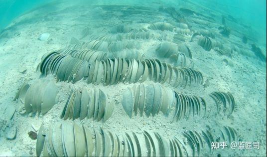 三,粗疏与精美兼备——华光礁Ⅰ号沉船